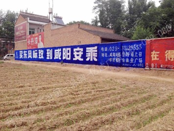 咸阳东风标致手绘低墙墙体广告