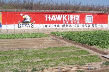 捷鹰电器手绘低墙墙体广告