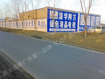 清华同方电视手绘低墙墙体广告