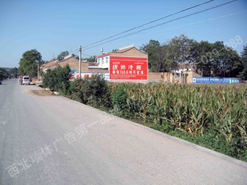 统帅冷柜手绘高墙墙体广告