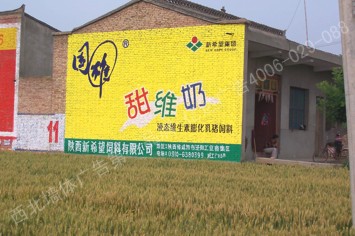 国雄饲料手绘高墙墙体广告