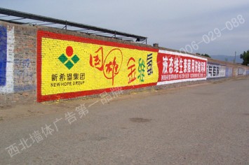 国雄饲料手绘高墙墙体广告