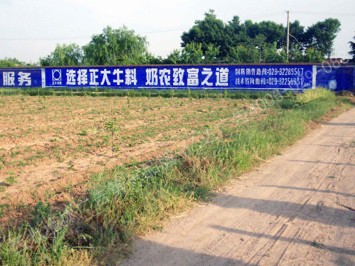 正大牛料手绘低墙墙体广告