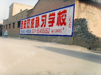 西安双成补习学校手绘高墙墙体广告