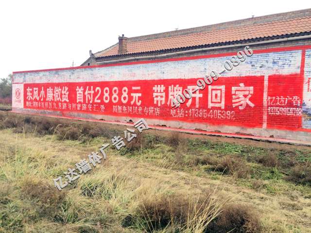 东风风光宁夏地区（手绘）墙体广告精选照片近景1.jpg