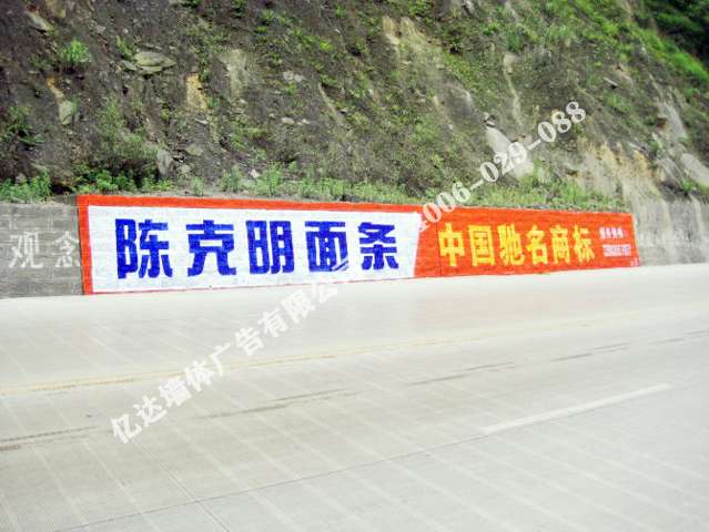 达州墙体广告.jpg